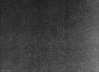 black and white horror GIF