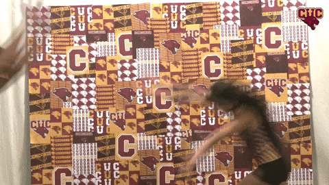 Wtf GIF by CUCougars