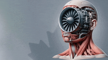Canada Turbine GIF by Alex Boya