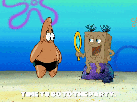 season 6 GIF by SpongeBob SquarePants