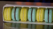 masterchef canada GIF by CTV