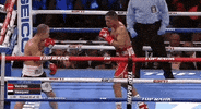 toprank fight boxing fighting espn GIF
