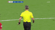 euro 2016 GIF by Sporza