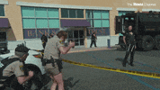 Reno 911 GIF by The Roku Channel
