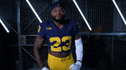 Go Blue Ncaa Football GIF by Michigan Athletics