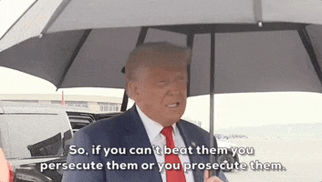 Donald Trump GIF by GIPHY News