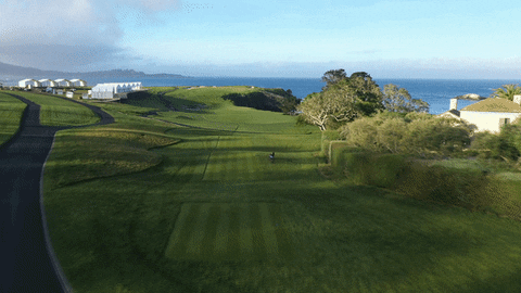 Co13man giphyupload GIF