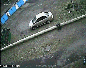 flying debris wtf GIF by Cheezburger