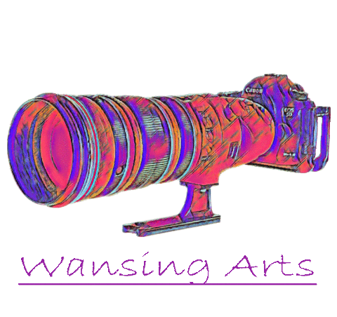 wansing-arts giphyupload Sticker