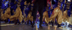 bollywood shaam shaandaar GIF by bypriyashah