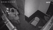 Says GIF by saysdotcom