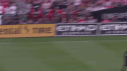 soccer mls GIF by D.C. United