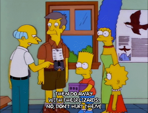 bart simpson episode 3 GIF