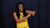 sport wnba GIF by Indiana Fever