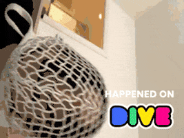 Twitch Network GIF by Dive