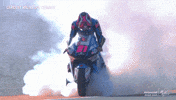 Happy Celebration GIF by MotoGP