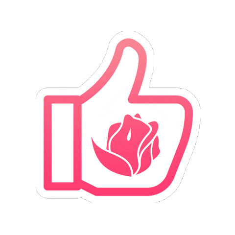 DuzaniLingerie giphyupload fashion like moda Sticker