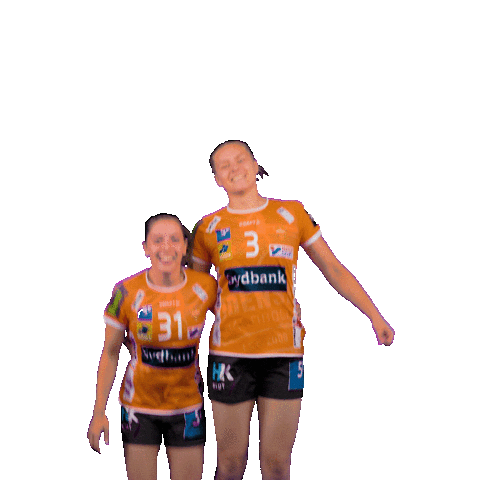 OdenseHaandbold giphyupload orange handball handbold Sticker
