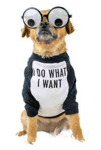 smooshy_mooshy dog animal dogs attitude Sticker