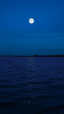 water moon GIF by Living Stills
