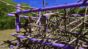 Team Challenge GIF by Survivor CBS