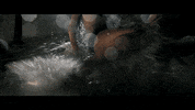 surfboard video GIF by Cody Simpson