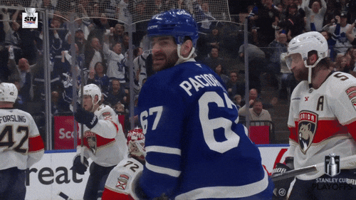 Happy National Hockey League GIF by NHL
