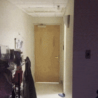 Spazzing GIF