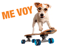AFSArgentina afspatineta afspatinetacyberdays Sticker