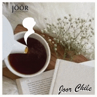 JoorChile joorchile GIF