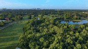Golfing Nice Day GIF by City of Orlando