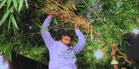 Excited Mahesh Babu GIF