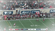 lewis als alouettes montreals GIF