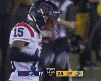 Montreal Alexander GIF