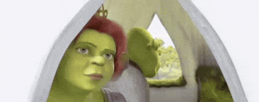 jpwarman bitch shrek donkey GIF