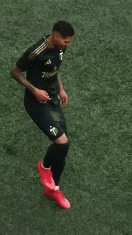 Portland Timbers Dancing GIF by Major League Soccer