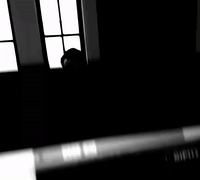 irlcam GIF by MANGOTEETH