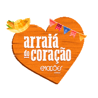 nelsonwendt arroz emoções arrozemocoes eu amo o nordeste arraia emoções Sticker