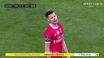Sl Benfica Slbgif GIF by Sport Lisboa e Benfica