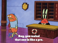 season 4 krusty towers GIF by SpongeBob SquarePants