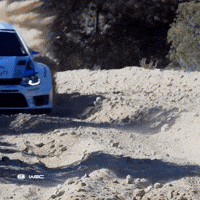 Slow Motion Volkswagen GIF by FIA World Rally Championship