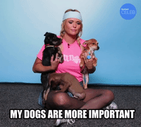 Dogs Are More Important