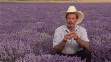 Essential Oils Lavender GIF by Young Living Essential Oils