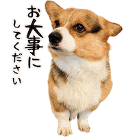 Corgi Milo Sticker