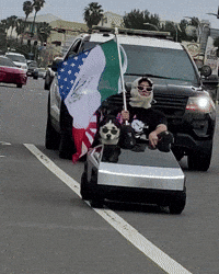 Freedom Of Speech Police GIF by SWAGGY WOLFDOG