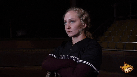 PRCCAthletics giphyupload softball wildcats juco GIF