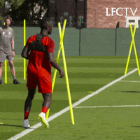 premier league football GIF by Liverpool FC