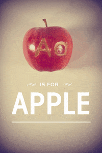 art design GIF by Photojojo