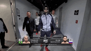 Mixed Martial Arts Sport GIF by UFC