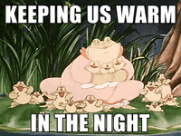 Cartoon Bear GIF by Paul McCartney